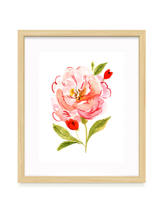 Mood Series 001: The Peony Fine Art Print