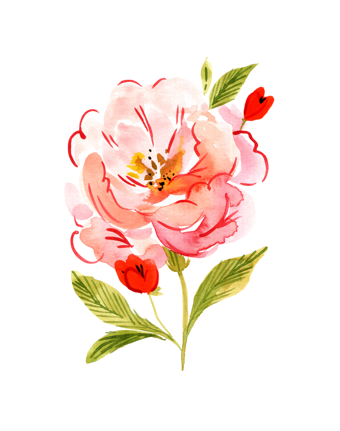 Mood Series 001: The Peony Fine Art Print
